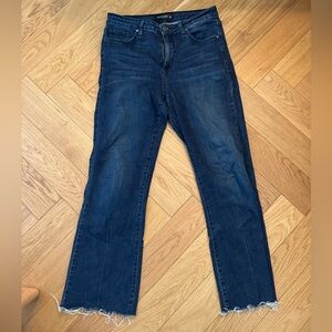 Just Black Denim Classic Blue Jean